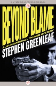 Beyond Blame by Stephen Greenleaf