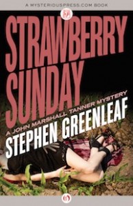 Strawberry Sunday by Stephen Greenleaf