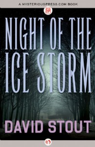 Night of the Ice Storm by David Stout