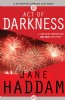 Act of Darkness by Jane Haddam