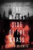 The Wrong Side of the Grass by Stephen Solomita